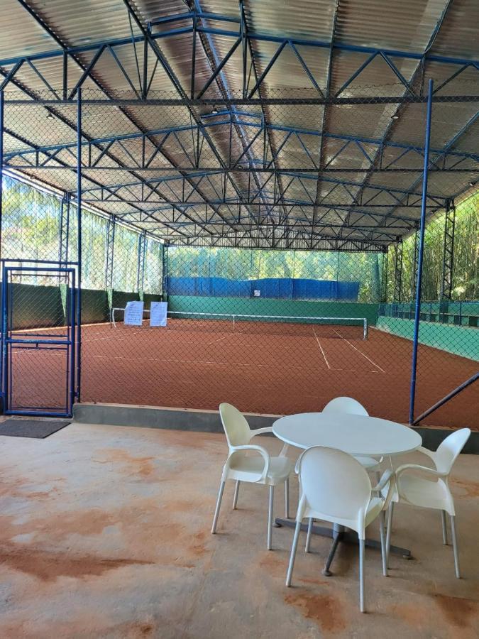 Wembley Tenis *